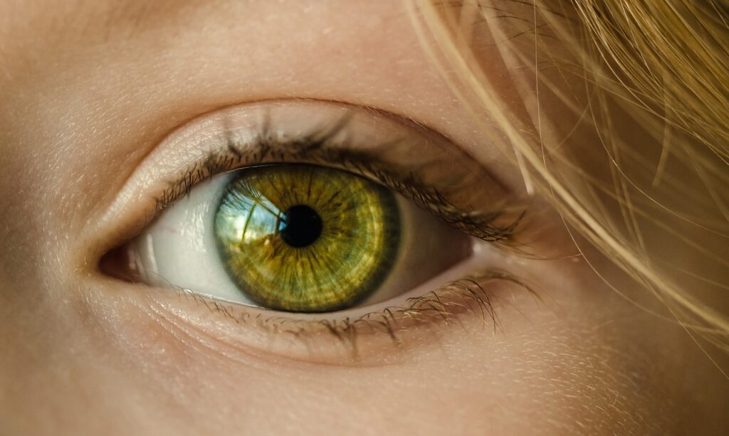 eye, iris, look